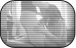 Amateur Videos
