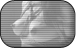 Fetish Videos